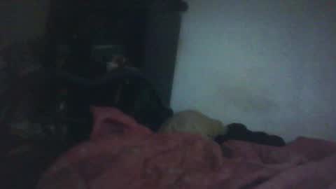 Snapshot of samedisamedi1nouveau chatting on October 2025 11:33:02 AM Samedisamedi1nouveau online show from October 2025 11:33:02 AM