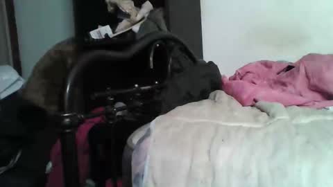 Snapshot of samedisamedi1nouveau chatting on December 2025 05:42:02 PM Samedisamedi1nouveau online show from December 2025 05:42:02 PM