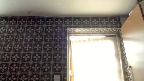 samegee online show from October 2025 07:20:02 AM