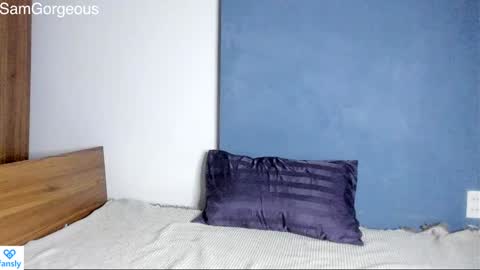 Snapshot of samgorgeous chatting on December 2024 08:17:01 PM Fansly - Top4fans online show from December 2024 08:17:01 PM