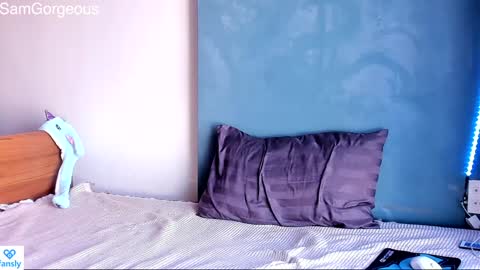Snapshot of samgorgeous chatting on January 2025 09:15:01 AM Fansly - Top4fans online show from January 2025 09:15:01 AM