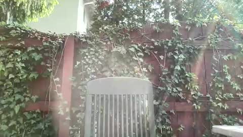 Playful Sammie online show from May 2026 08:05:02 PM