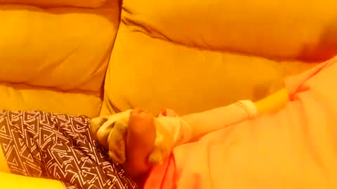 bigddaddy online show from January 2025 03:00:01 AM