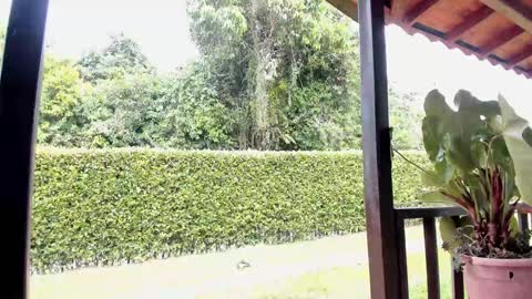 Snapshot of samuel_obrian chatting on December 2024 06:42:02 PM Samuel online show from December 2024 06:42:02 PM