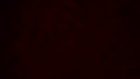 samueltal online show from February 2026 12:26:02 AM