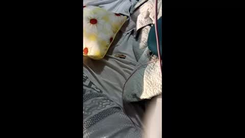 ShynNkd online show from February 2026 08:09:01 AM