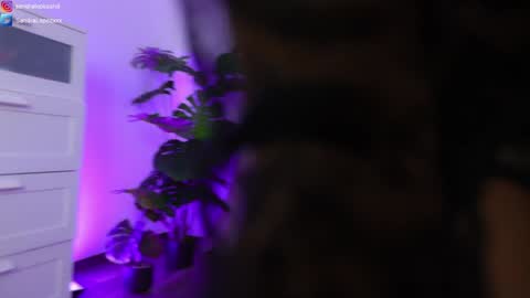 Snapshot of sandralopezxxx chatting on January 2025 08:45:02 PM Sandra online show from January 2025 08:45:02 PM