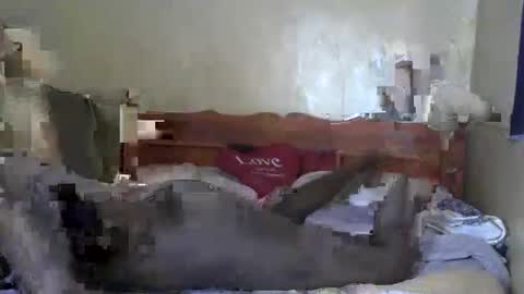 santabarbie online show from March 2025 06:15:02 AM