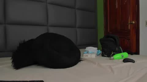 Snapshot of santi_delacruz chatting on March 2025 06:30:01 PM santi online show from March 2025 06:30:01 PM