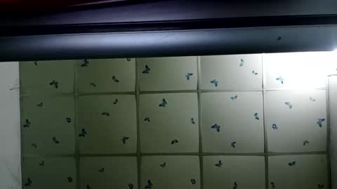 santichai561323 online show from February 2025 02:01:02 AM