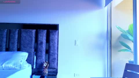 Santiago Seans online show from May 2026 04:44:02 PM