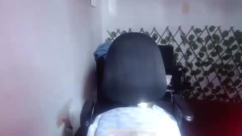 tania online show from July 2026 08:40:01 PM