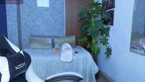 saphi online show from July 2026 03:14:02 PM