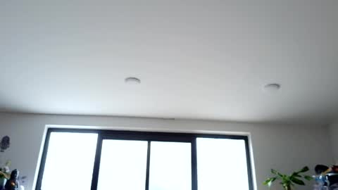 Snapshot of sapphire_mei866 chatting on May 2026 07:42:02 PM safir online show from May 2026 07:42:02 PM