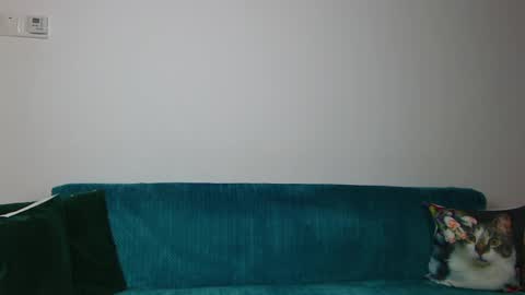 Snapshot of sara_daisy chatting on April 2026 06:09:02 AM Im Sara I am happy to be here online show from April 2026 06:09:02 AM