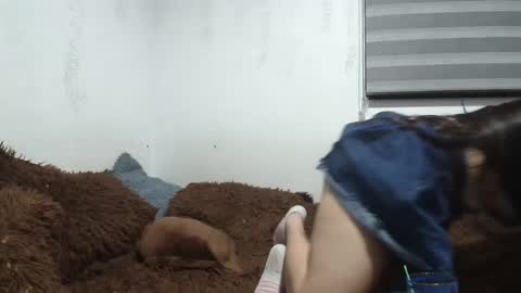 sara and thomas online show from January 2025 02:24:02 AM