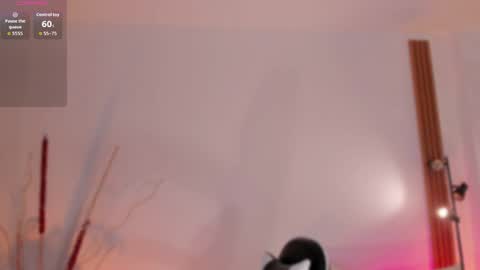 sara cavali online show from April 2026 03:06:01 PM