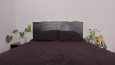 Snapshot of sarahredi chatting on January 2025 08:37:02 PM Girl next door online show from January 2025 08:37:02 PM