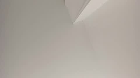   online show from January 2025 11:24:01 AM