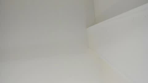   online show from January 2025 11:11:02 AM