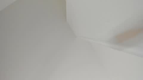   online show from February 2025 11:27:02 AM