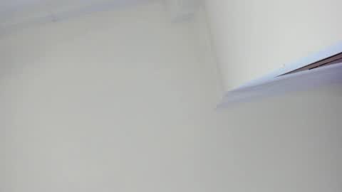   online show from February 2025 11:32:02 AM