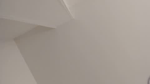   online show from February 2025 11:10:02 AM