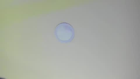   online show from February 2025 11:11:02 AM