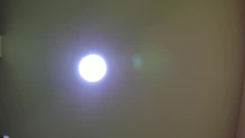   online show from February 2025 11:11:01 AM