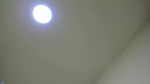   online show from February 2025 11:54:01 AM