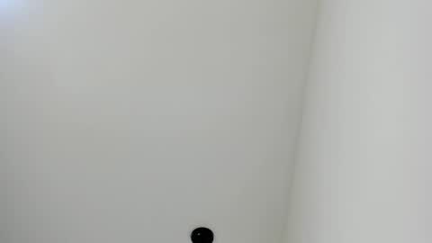   online show from March 2025 11:36:02 AM