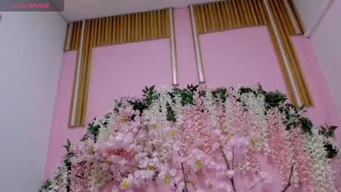 Snapshot of sarenlux chatting on October 2025 11:49:02 AM Baby Saren online show from October 2025 11:49:02 AM