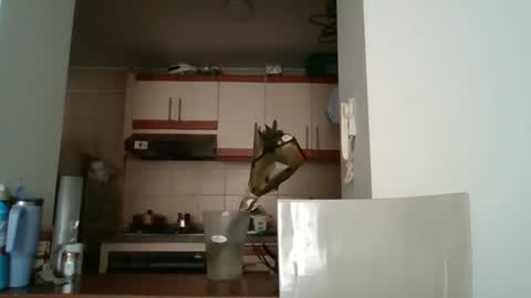 sarita_start online show from May 2026 03:40:02 PM