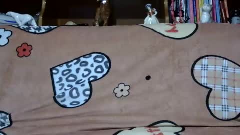 Sarra online show from December 2024 05:26:01 PM