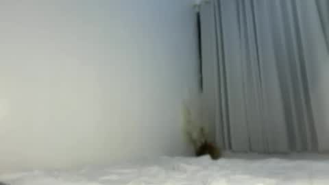 sassykayla online show from May 2026 01:07:01 PM