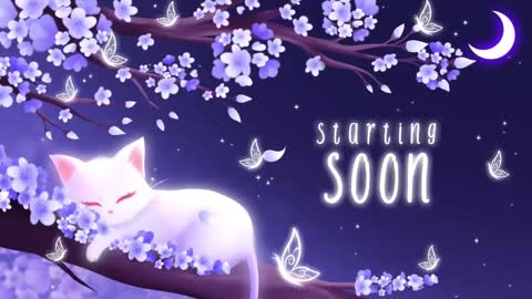 Snapshot of sassykittyn chatting on February 2025 05:47:01 AM Sassy Sami Kittyn online show from February 2025 05:47:01 AM