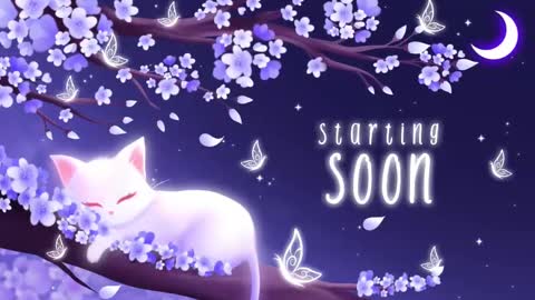 Snapshot of sassykittyn chatting on March 2025 06:59:01 AM Sassy Sami Kittyn online show from March 2025 06:59:01 AM