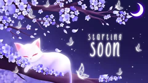 Snapshot of sassykittyn chatting on October 2025 05:08:02 AM Sassy Sami Kittyn online show from October 2025 05:08:02 AM