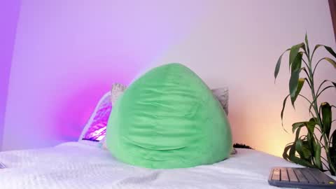     online show from November 2025 11:59:01 PM