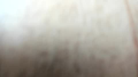 Snapshot of sayo_mao18 chatting on September 2025 01:53:01 AM sayo_mao18 online show from September 2025 01:53:01 AM