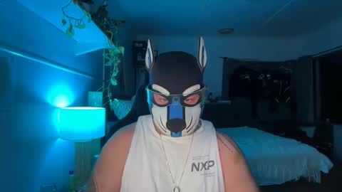 Snapshot of sc212 chatting on February 2026 12:15:01 PM Sunny Coast online show from February 2026 12:15:01 PM