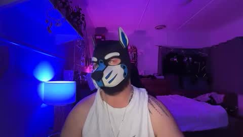 Snapshot of sc212 chatting on March 2026 02:45:02 PM Sunny Coast online show from March 2026 02:45:02 PM