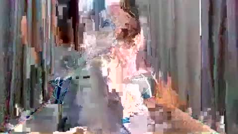 Scarlet online show from May 2026 10:54:01 AM