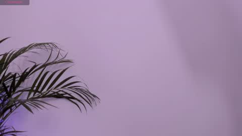 Scarlet online show from July 2026 12:31:01 PM