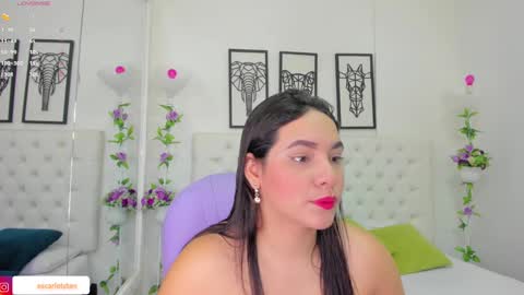 Snapshot of scarlet_stan22 chatting on December 2024 11:07:02 AM Isa online show from December 2024 11:07:02 AM