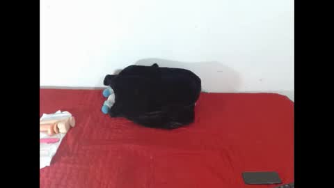 Snapshot of scarletfox__03 chatting on February 2026 07:31:02 PM Scarletfox Fox online show from February 2026 07:31:02 PM