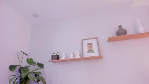 Scarlett Morgan online show from February 2025 02:31:01 AM