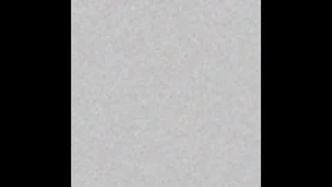 Snapshot of scarlettgracevip chatting on January 2026 12:48:01 AM scarlettgracevip online show from January 2026 12:48:01 AM