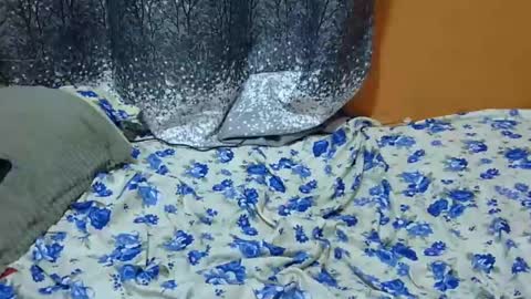 Snapshot of scorviaamanda254 chatting on January 2025 03:11:01 AM Its Lilly online show from January 2025 03:11:01 AM