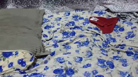 Snapshot of scorviaamanda254 chatting on January 2025 03:09:01 AM Its Lilly online show from January 2025 03:09:01 AM